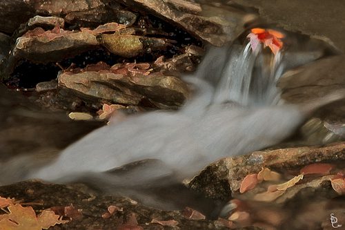 _III6883-Edit