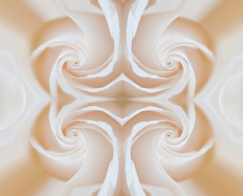 Rose Swirl Flip Rose Swirl Flip