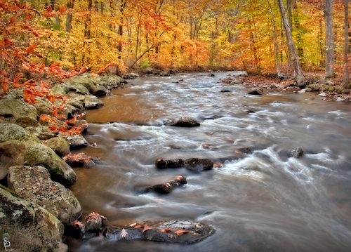 sdcfall2011-117 Fall Foliage Covers The Black River