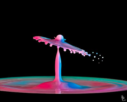 Up and Down Water Drops and Milk Colliding