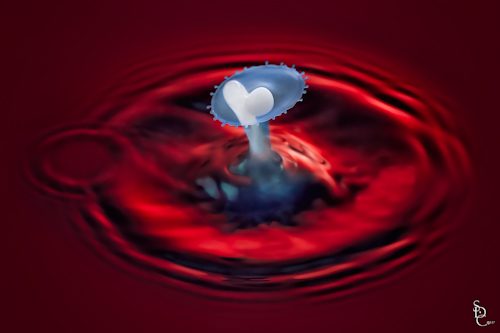 sdcwd-115 water and milk drop splash collision with heart shape