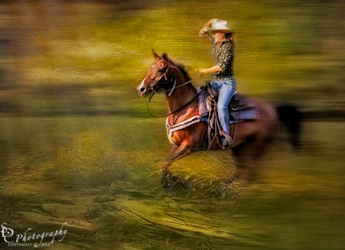 Riding Thru The Meadow wpid-III6312-Edit.jpg Riding Thru The Meadow