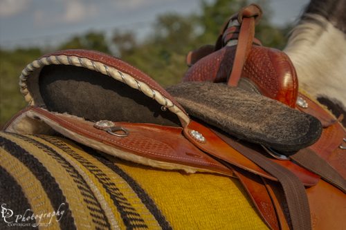 wpid-III6951-Edit.jpg Western Saddle "Western Saddle" Details of a western saddle on a Pinto Horse.