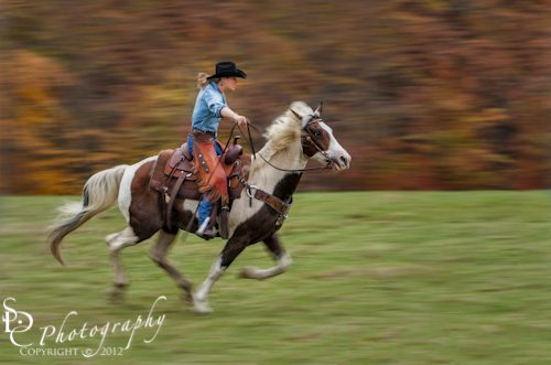 Giddy Up wpid-III8967-Edit.jpg Giddy Up