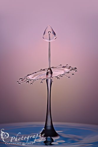 Fluid Tutu SDC wpid-5D32071-Edit.jpg Fluid Tutu ~