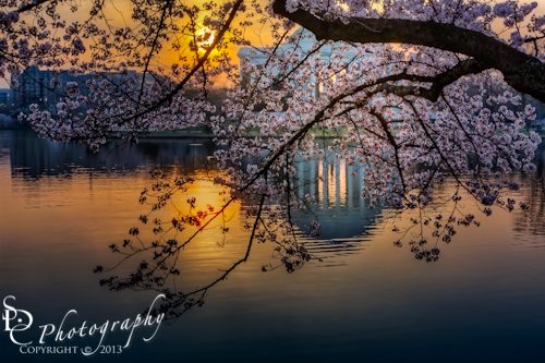 Sunrise At The Thomas Jefferson Memorial SDC wpid-5D35544_45_46_47_48_49_50-Edit.jpg Sunrise At The Thomas Jefferson Memorial