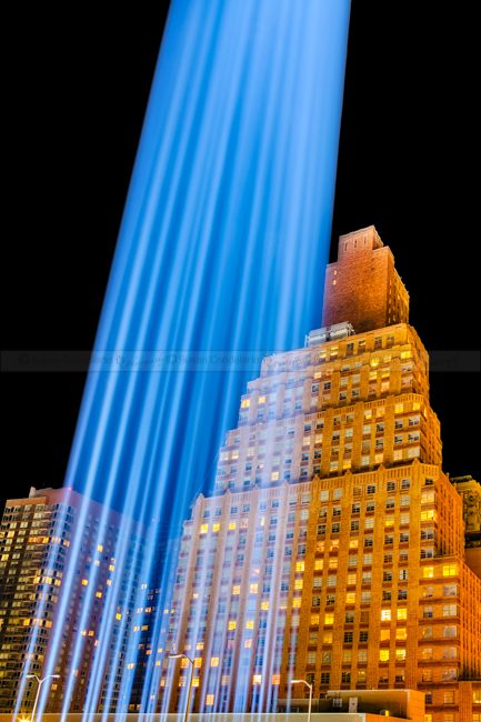 September_11th-5.jpg Golden Blue