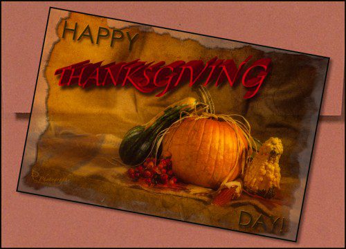 thanksgiving thanksgiving_card