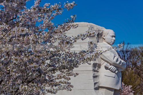 Dr-Martin-Luther-King-Jr.jpg Dr-Martin-Luther-King-Jr.jpg