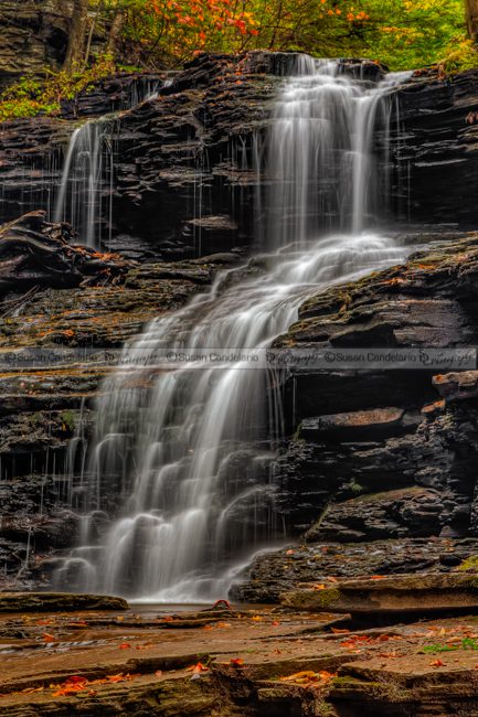 Autumn At Ricketts Glen State Park • Susan Candelario Sdc Photography