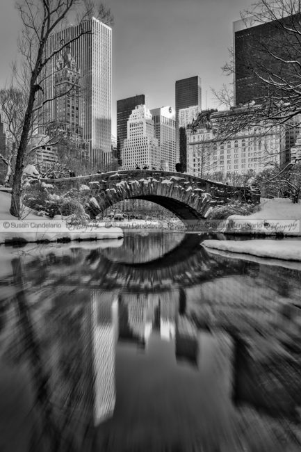 Gapstow Bridge BW