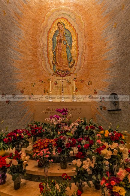 Lady of Guadalupe