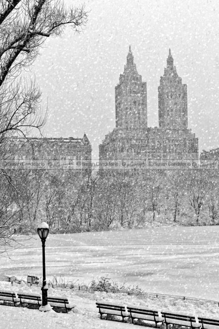 San Remo Towers Snow